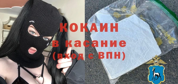 шишки Алексин