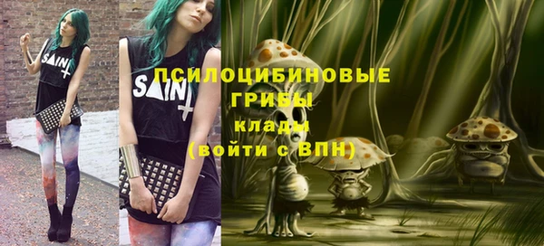 шишки Алексин