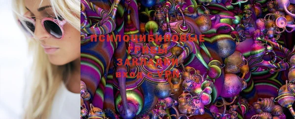 гидропоника Алзамай