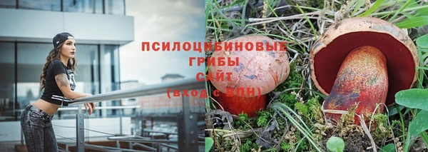 крисы Нефтекумск