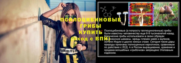 PSILOCYBIN Абинск