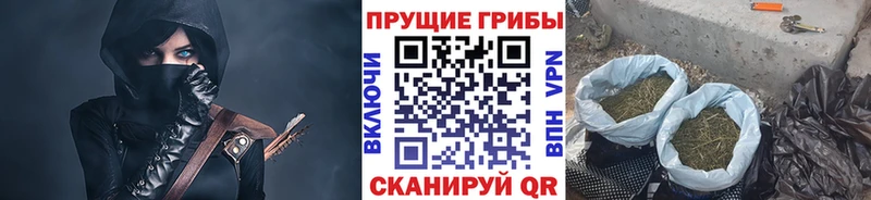 Псилоцибиновые грибы мухоморы  наркошоп  Тетюши 