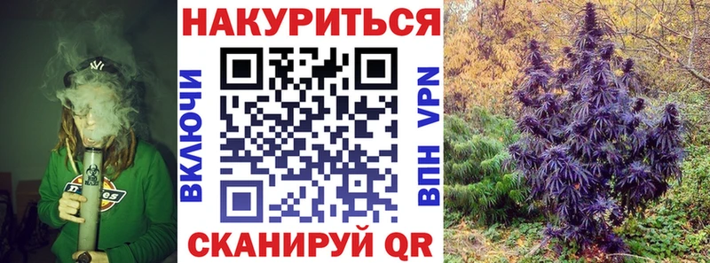 Канабис планчик цена Тетюши